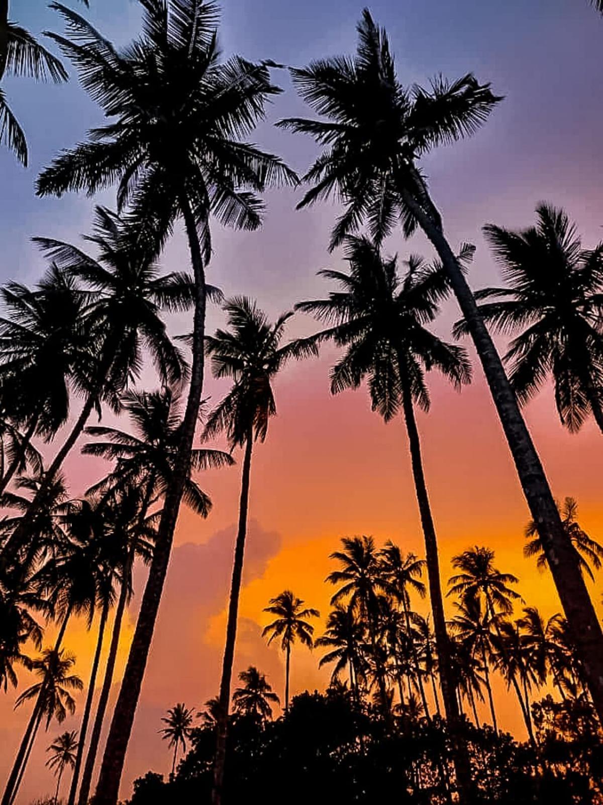 Turtle Island Cabana Tangalle Exteriér fotografie